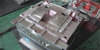plastic injection mold for auto